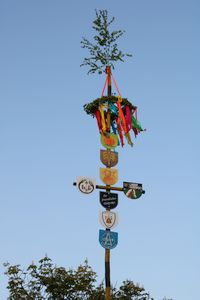 Maibaum 2024 300