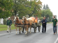 KÃ¼rbisfest 2017 200