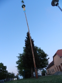 Maibaum 2018 200