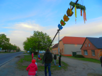 Maibaum 2019 200