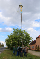 Maibaum 2020 200