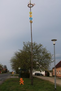 Maibaum2021 300